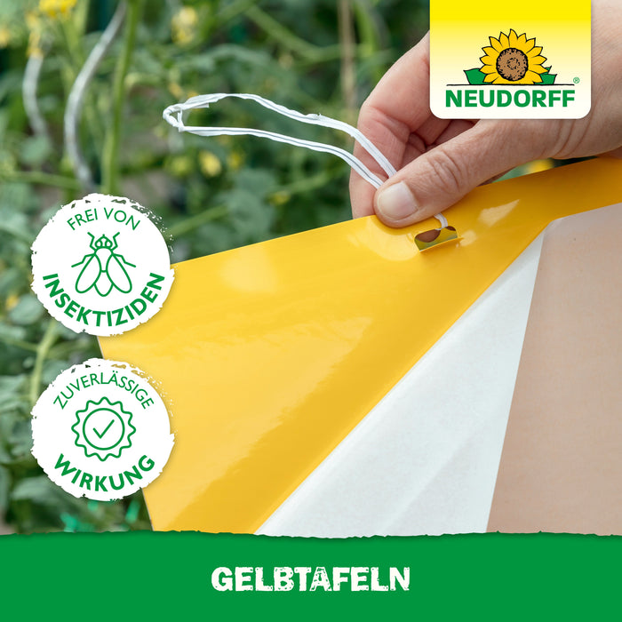 Assiettes jaunes Neudorff (grand format) - puissance argent