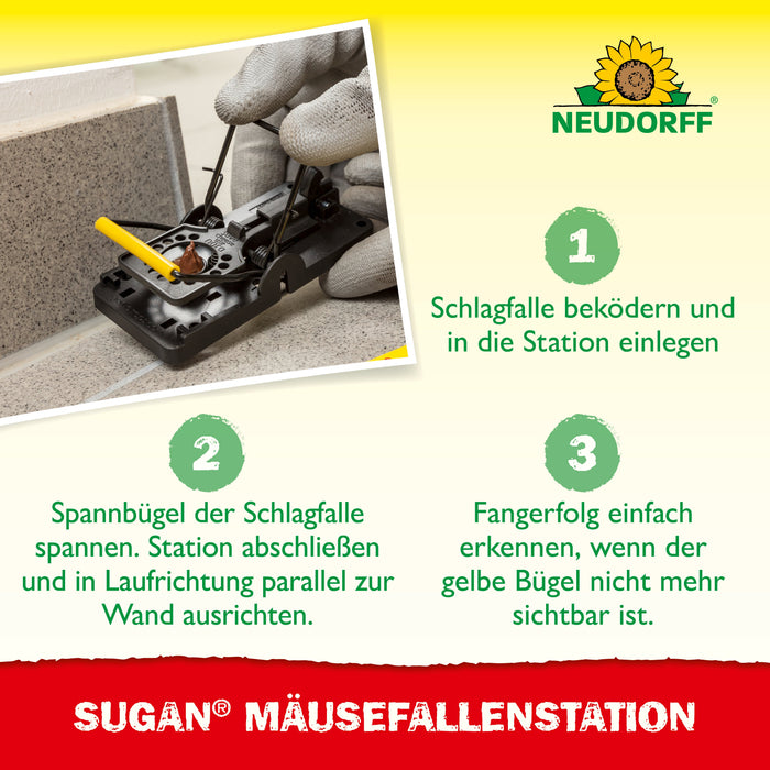 Station de piège à souris Neudorff Sugan - Silberkraft