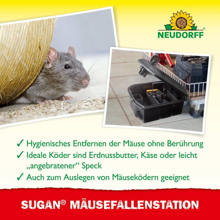 Station d'appât et appât odorant Neudorff Sugan pour souris