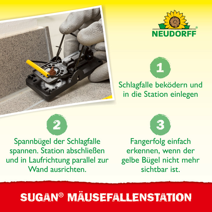 Station d'appât et appât odorant Neudorff Sugan pour souris