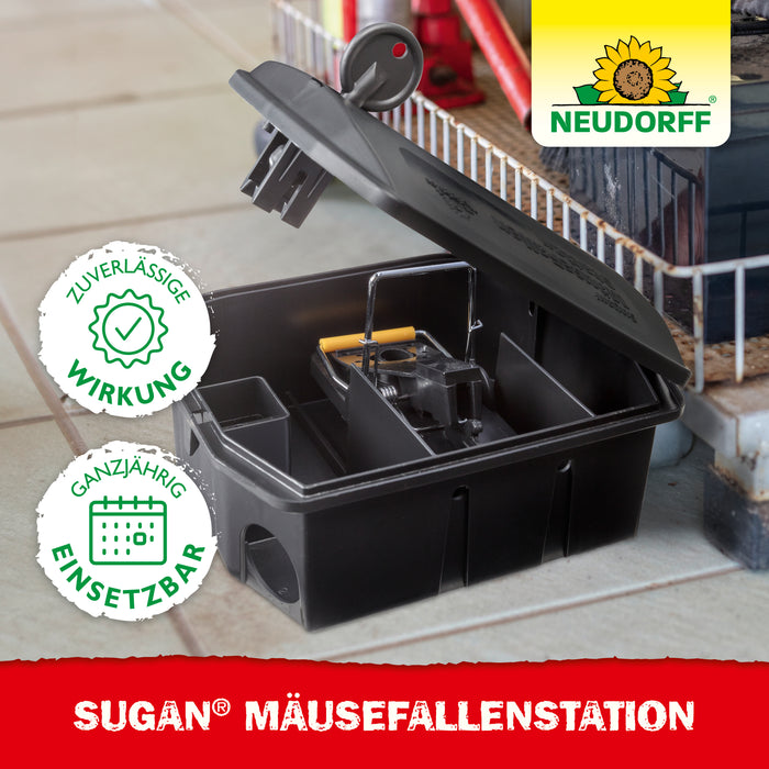 Station d'appât et appât odorant Neudorff Sugan pour souris