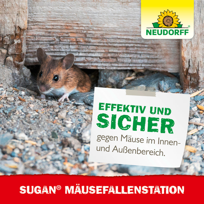 Station d'appât et appât odorant Neudorff Sugan pour souris