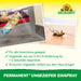 Spray anti-insectes permanent