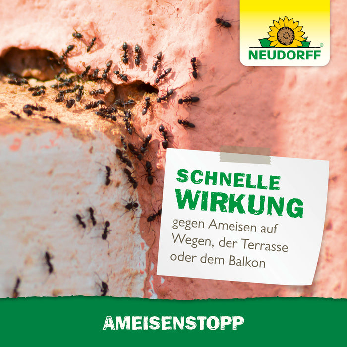 Neudorff AntStop - Silberkraft