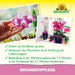 Soin des orchidées Neudorff - Silberkraft