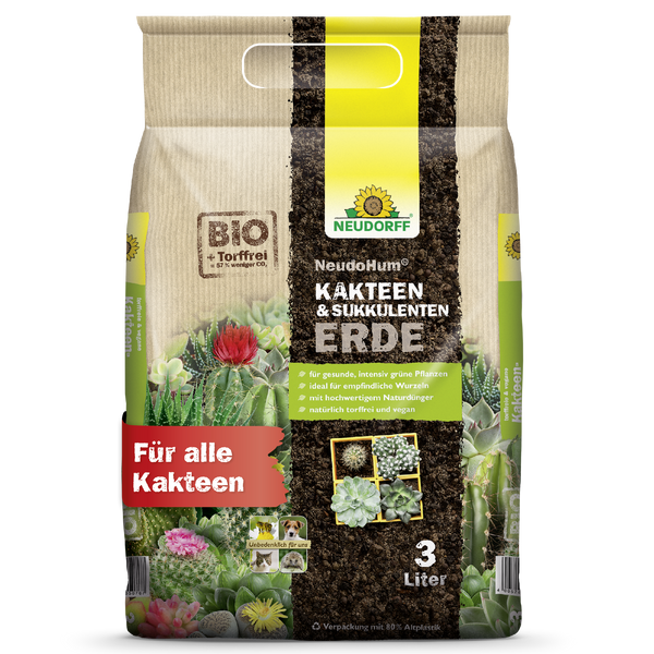 Neudorff NeudoHum Terreau pour cactus et plantes succulentes - Silberkraft