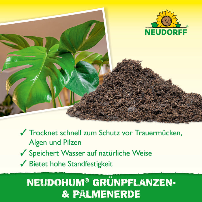 Neudorff NeudoHum Terreau pour plantes vertes et palmiers - Silberkraft