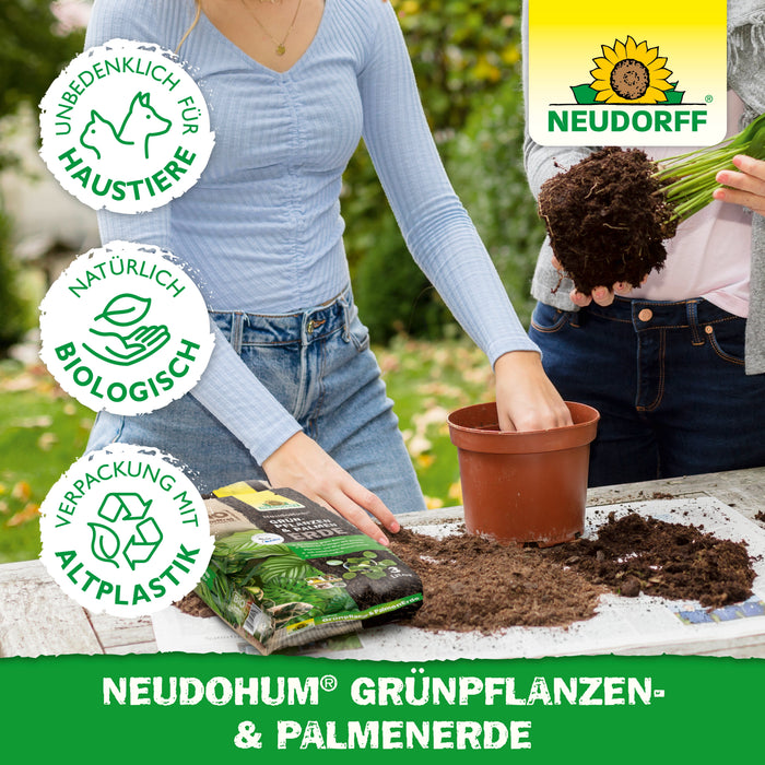 Neudorff NeudoHum Terreau pour plantes vertes et palmiers - Silberkraft