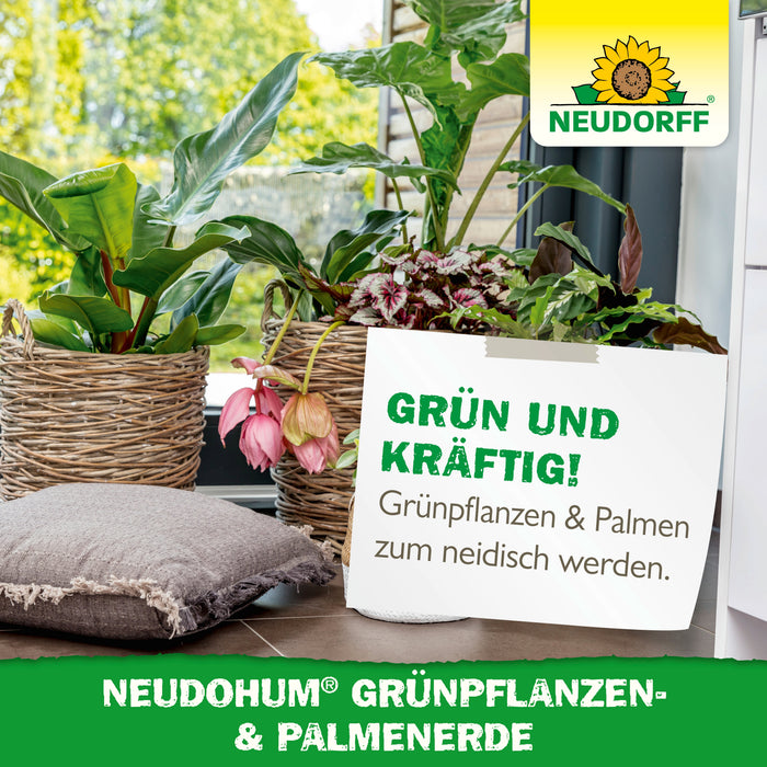 Neudorff NeudoHum Terreau pour plantes vertes et palmiers - Silberkraft