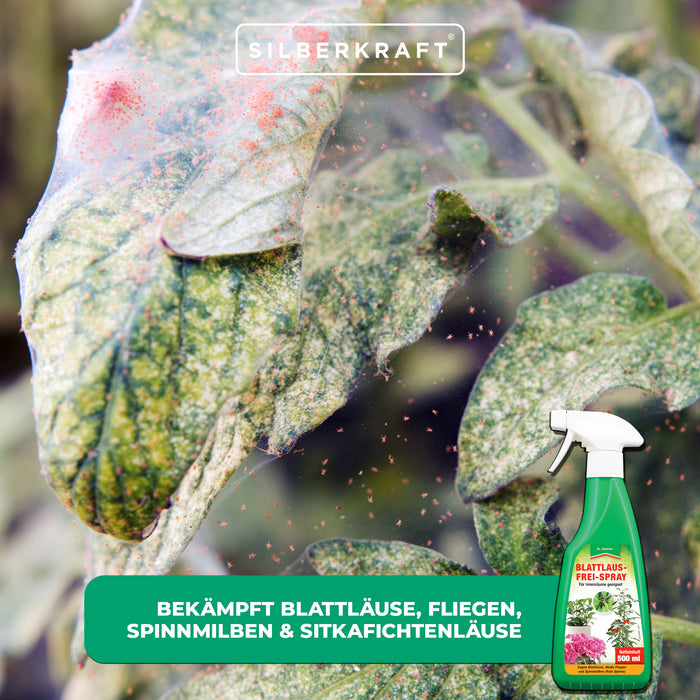 Spray sans pucerons : protection efficace des fruits, légumes et plantes ornementales