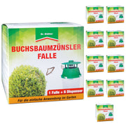 Piège à pyrales du buis : détection rapide des infestations et surveillance fiable des ravageurs