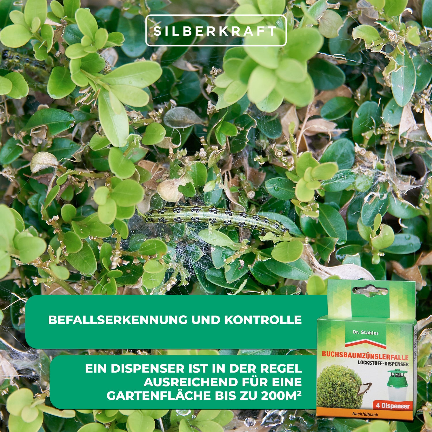 Pack de recharge pour piège à pyrale du buis : Recharge facile et rapide