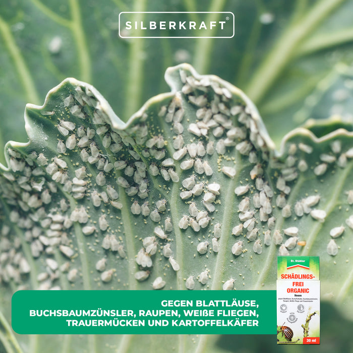 Bio sans nuisibles à l'extrait de neem : protection contre les nuisibles