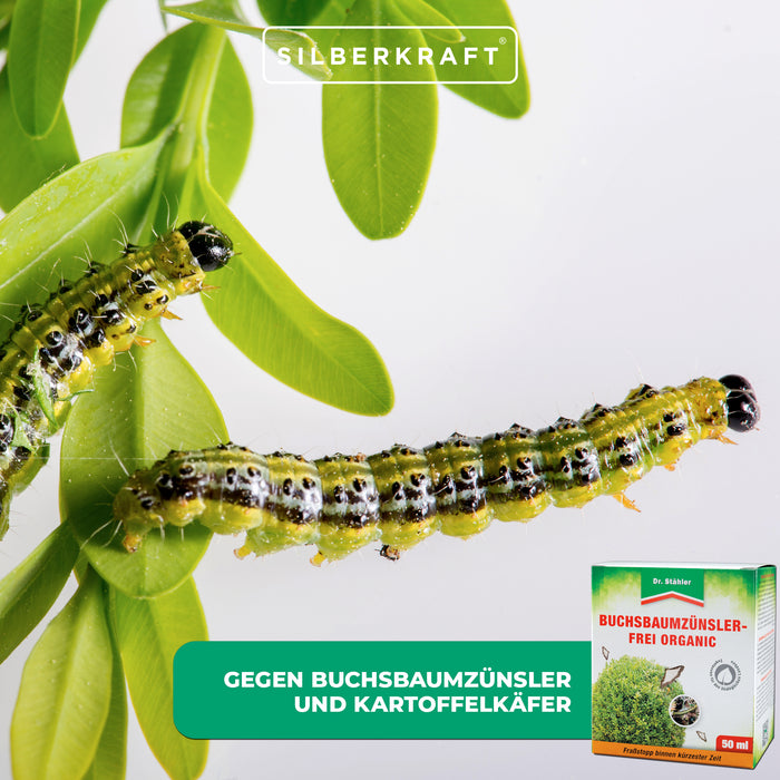 Buis bio sans mites : Protège efficacement contre les insectes nuisibles