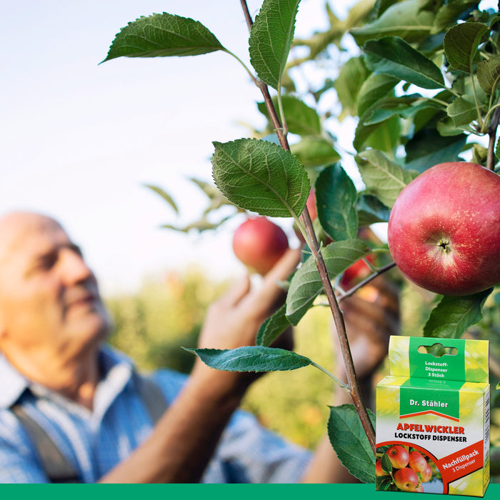 Pack de recharge d'attractif aux phéromones du carpocapse de la pomme : protection efficace des arbres fruitiers