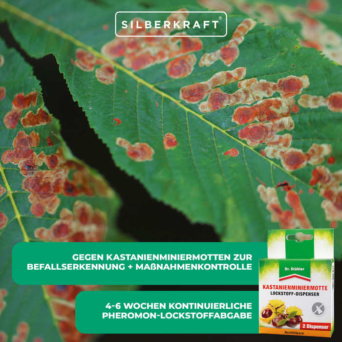 Distributeur d'attractif pour la mineuse du châtaignier - protection pour le marronnier d'Inde