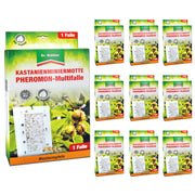 Multi-piège à phéromone mineuse du châtaignier efficace pour toutes les espèces de châtaigniers