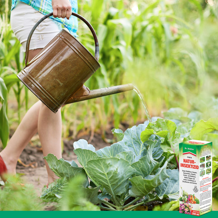 Insecticide naturel Pyreth : Protection optimale contre les insectes pour les plantes ornementales, les cultures fruitières et maraîchères