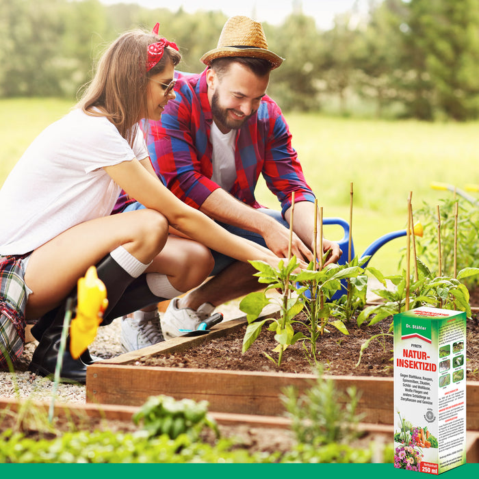 Insecticide naturel Pyreth : Protection optimale contre les insectes pour les plantes ornementales, les cultures fruitières et maraîchères