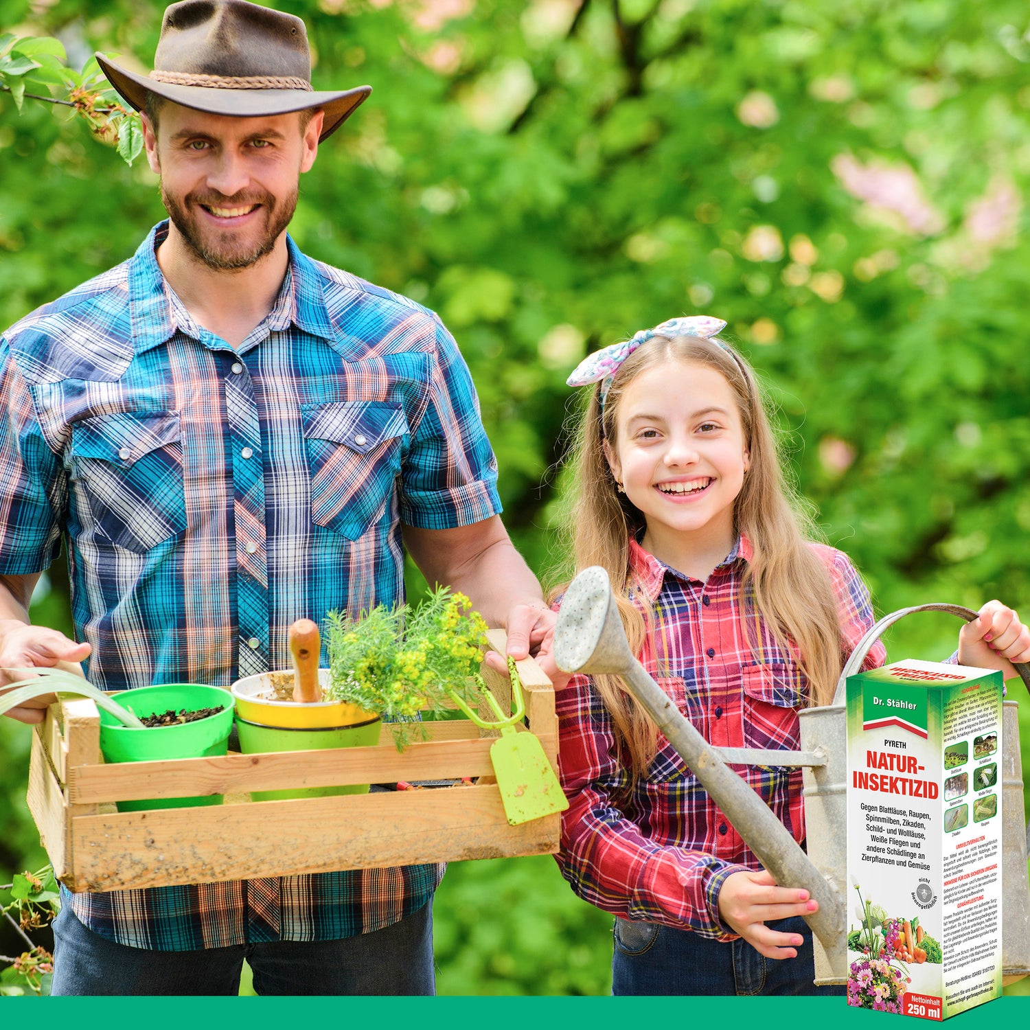 Insecticide naturel Pyreth : Protection optimale contre les insectes pour les plantes ornementales, les cultures fruitières et maraîchères