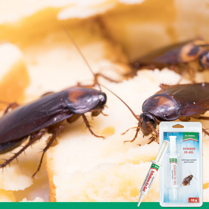Gel anti-blattes Cockroach-Ex efficace contre les infestations de cafards | Anti-blattes