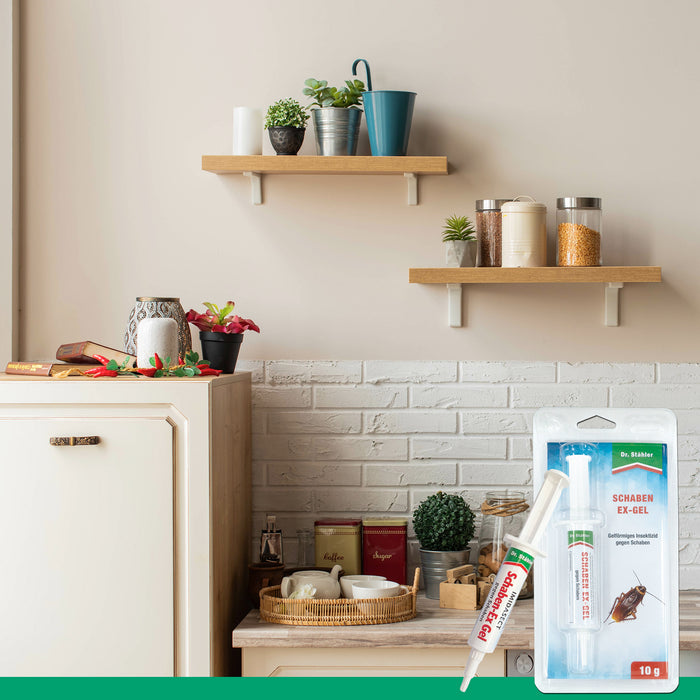 Gel anti-blattes Cockroach-Ex efficace contre les infestations de cafards | Anti-blattes