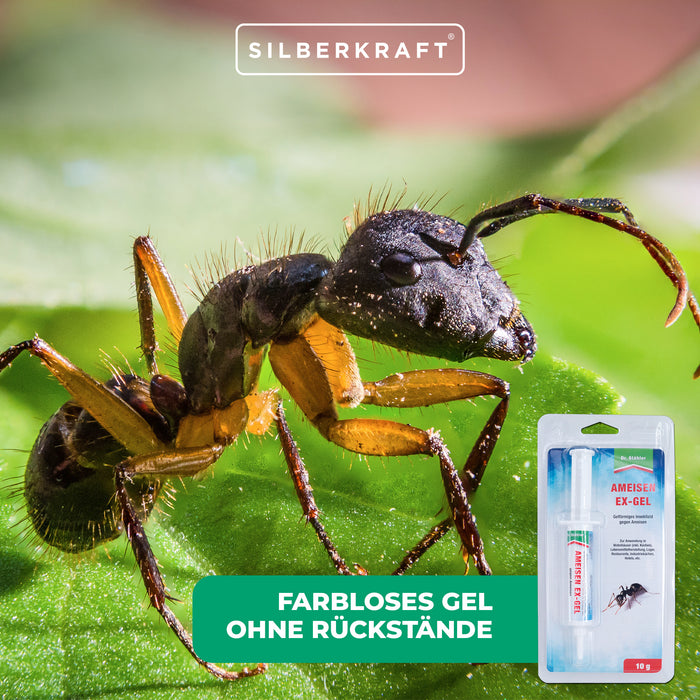 Ant-Ex Gel : Solution immédiate contre les infestations de fourmis en intérieur et en extérieur