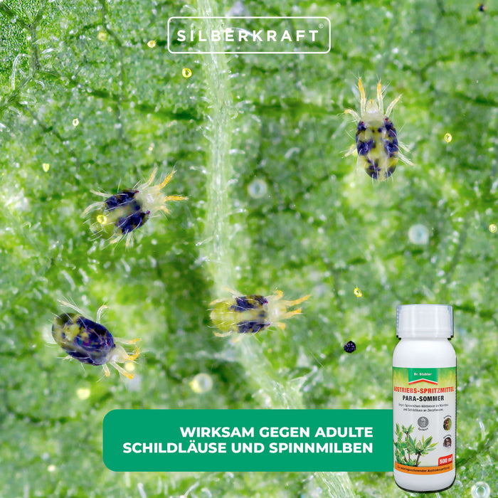 Para Sommer : Spray de croissance contre les cochenilles et les tétranyques