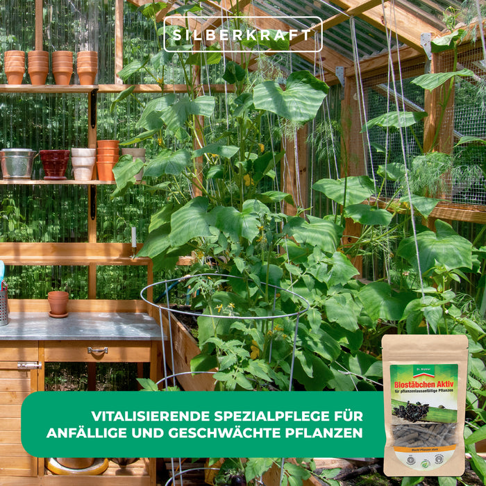 Biostäbchen Aktiv : Fortifiant végétal très efficace pour des plantes vitales et résistantes