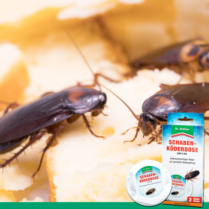 Boîte d'appât pour blattes d'intérieur contre la blatte germanique, la blatte commune et la blatte américaine