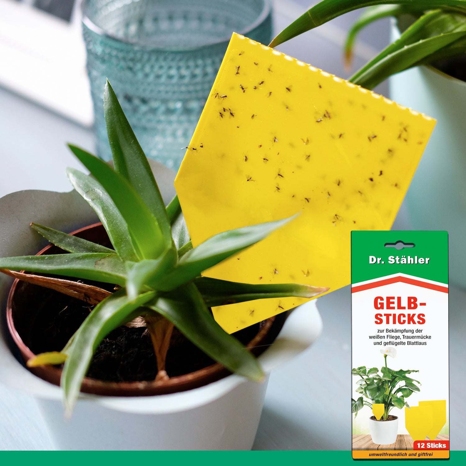 Bâtonnets jaunes efficaces pour lutter contre les insectes volants comme les aleurodes, les moucherons fongiques et les pucerons