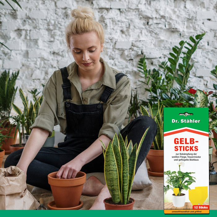 Bâtonnets jaunes efficaces pour lutter contre les insectes volants comme les aleurodes, les moucherons fongiques et les pucerons