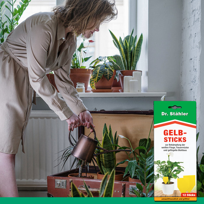 Bâtonnets jaunes efficaces pour lutter contre les insectes volants comme les aleurodes, les moucherons fongiques et les pucerons