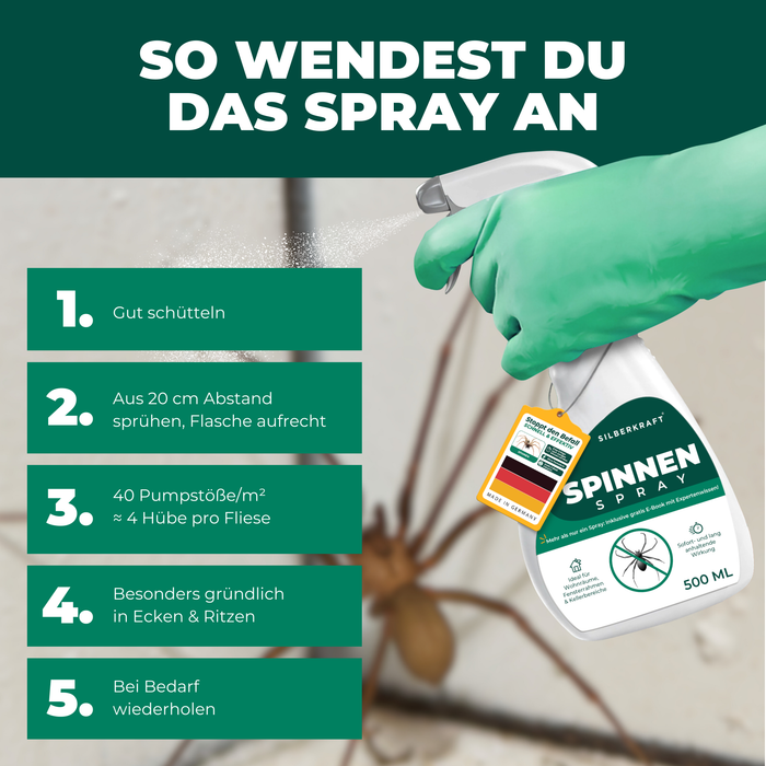 Spinnenspray richtig anwenden – Anleitung zur sicheren und effektiven Spinnenbekämpfung