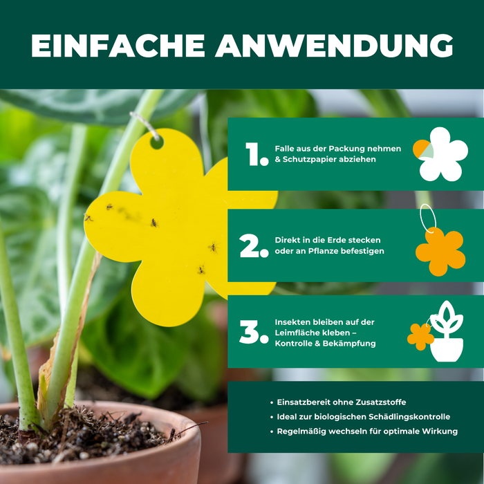 Piège jaune panneaux jaunes autocollants jaunes 12 pièces contre les mouches des fruits, les moucherons fongiques et bien plus encore.