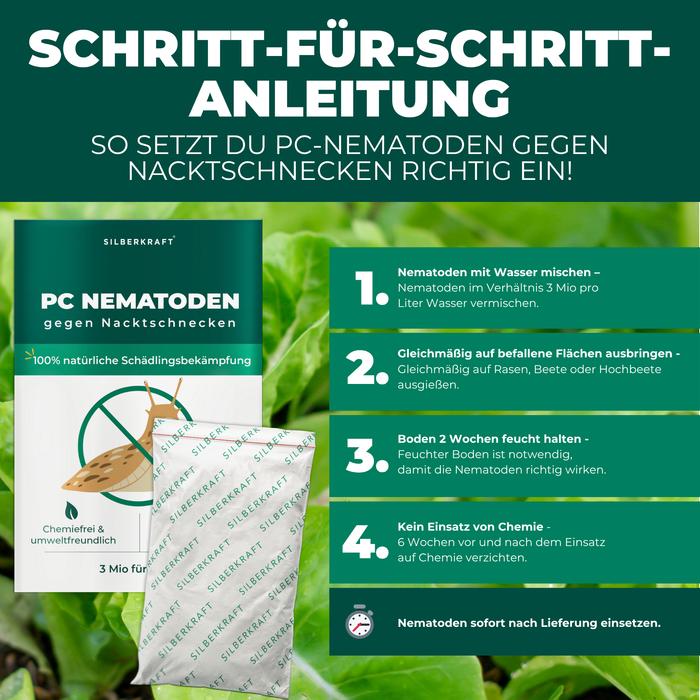 Nématodes PC contre limaces et escargots - Silberkraft