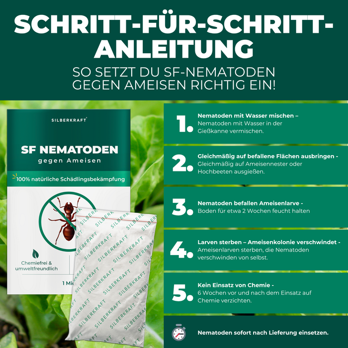 Nématodes SF contre les fourmis