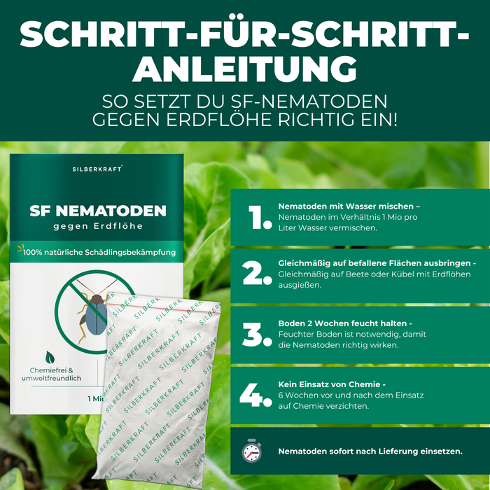 Nématodes SF contre les altises