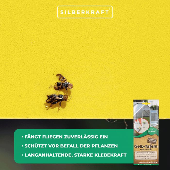 Panneaux jaunes Silence (petits) : Surveillance optimale contre les aleurodes, les moucherons fongiques et les pucerons