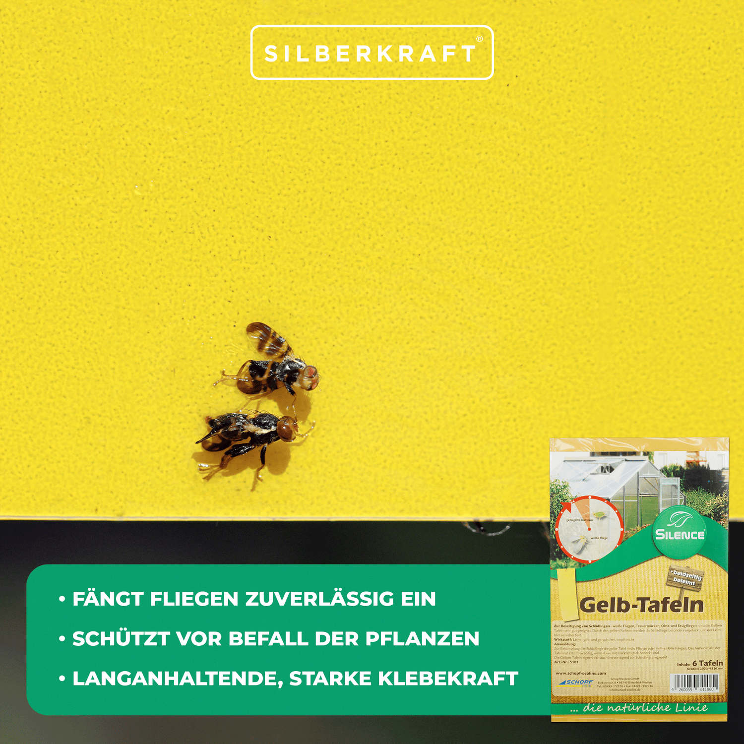 Panneaux jaunes Silence : Solution efficace contre les aleurodes, les moucherons des champignons, les mouches des fruits et du vinaigre