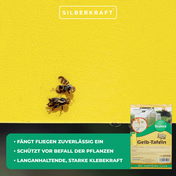 Panneaux jaunes Silence (grands) : Surveillance optimale contre les aleurodes, les moucherons fongiques et les pucerons