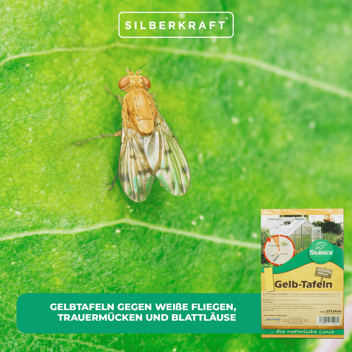 Panneaux jaunes Silence (grands) : Surveillance optimale contre les aleurodes, les moucherons fongiques et les pucerons