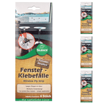 Piège adhésif pour fenêtre Silence : piège à mouches efficace pour fenêtres à l'aspect transparent - Silberkraft