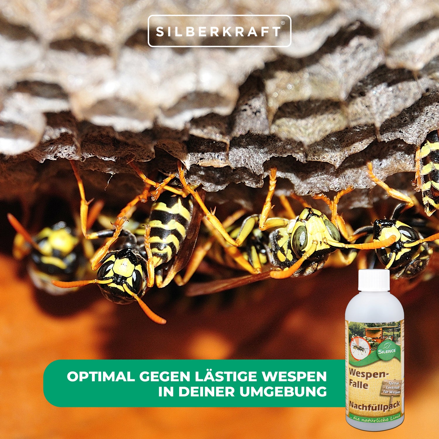 Recharge piège à guêpes Silence : protection efficace contre les guêpes gênantes