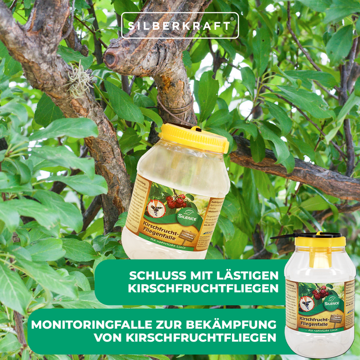 Silence Kirschfruchtfliegenfalle: Ideal zum Abfangen von Fruchtfliegen - Silberkraft