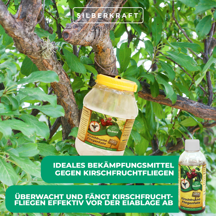 Recharge piège à mouches des cerises Silence : pour attraper les mouches des fruits