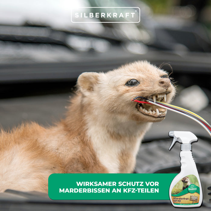 Spray Silence Marten-Free : Protection efficace contre les piqûres de martres