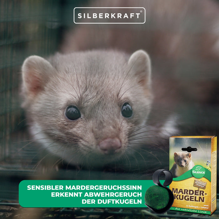 Boules parfumées Silence martre : protection efficace à long terme contre les dégâts causés par les martres sur la voiture