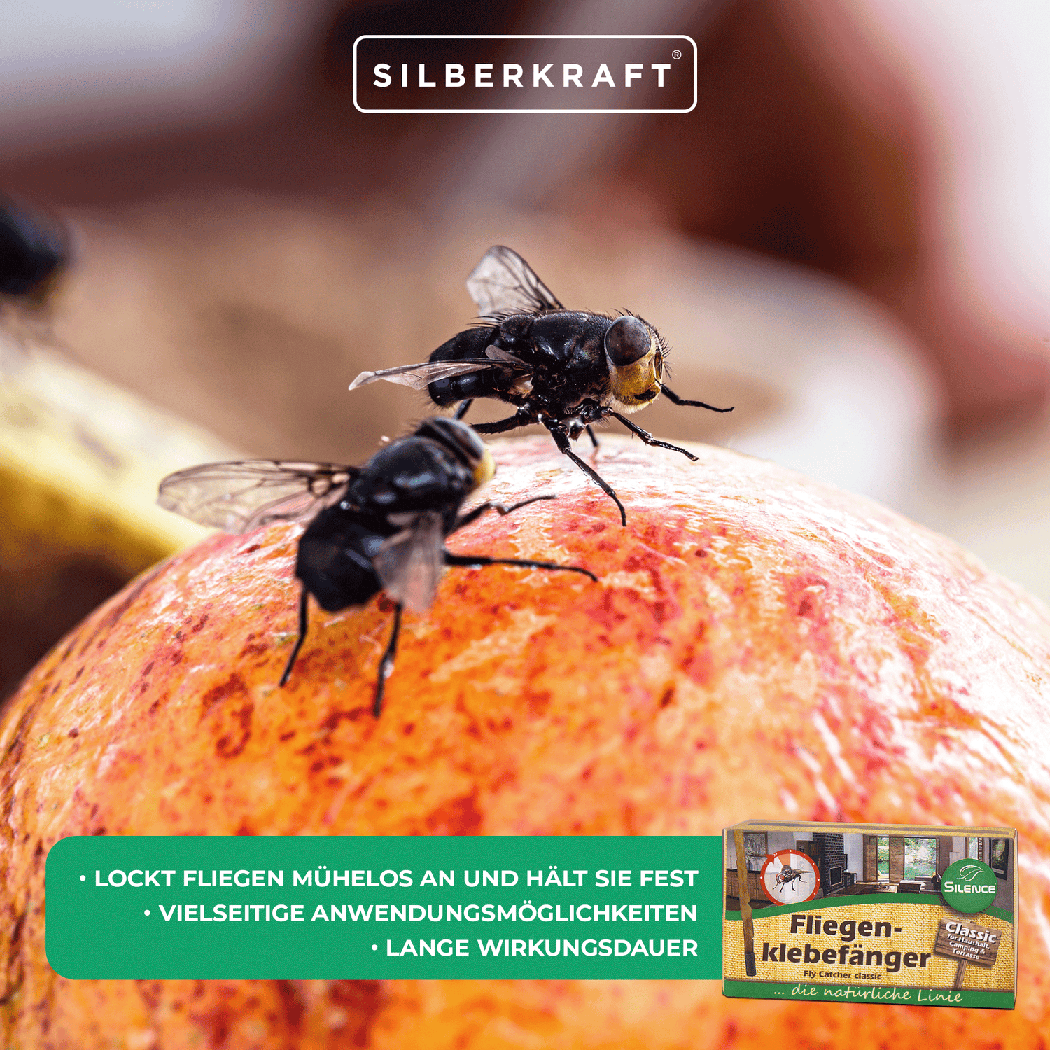 Attrape-mouches Silence : attrape-mouches classique avec un effet d'attraction unique