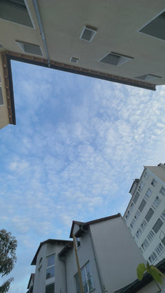 Martinets – Offenbach-sur-le-Main, Hesse, Allemagne